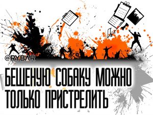 Зеленский отверг перемирие: ожидаемая реакция киевского режима