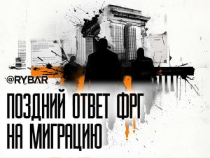 Германия прикрывает двери? Эффективность антимиграционных мер ФРГ под вопросом  