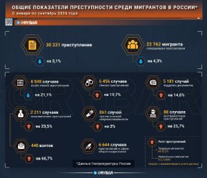 О преступлениях мигрантов в 2024 году