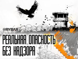 Возможность для боевиков: о выводе американских войск из Сирии