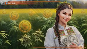 Легализация каннабиса на Украине: для чего она нужна и кому выгодна