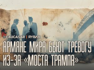 Армянская диаспора в ужасе от уступок