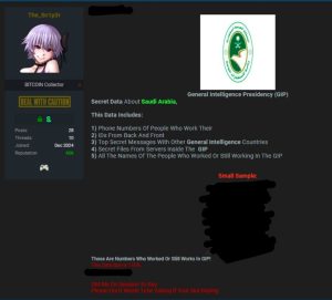 Саудиты в даркнете