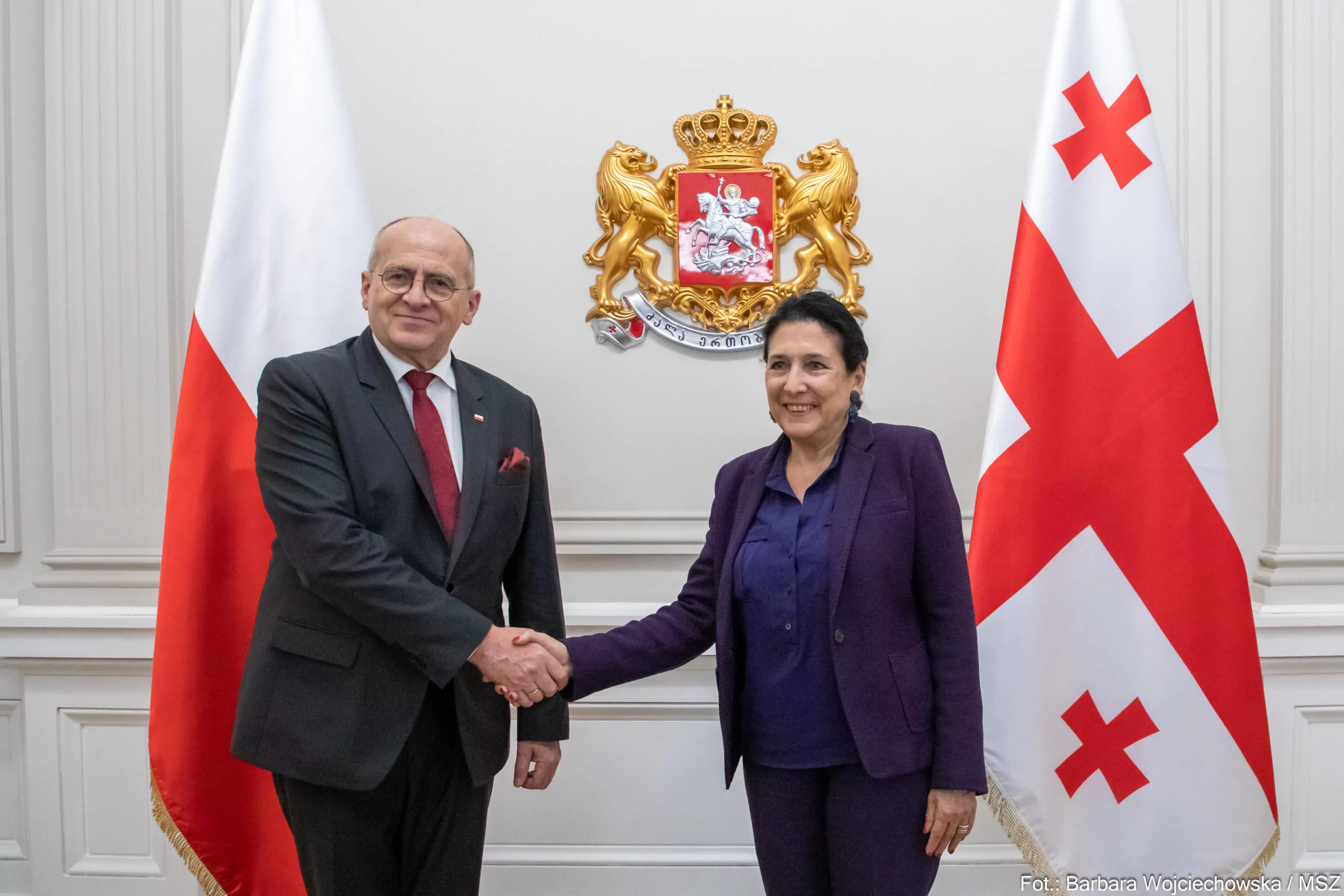 Визит главы польского МИД в Грузию