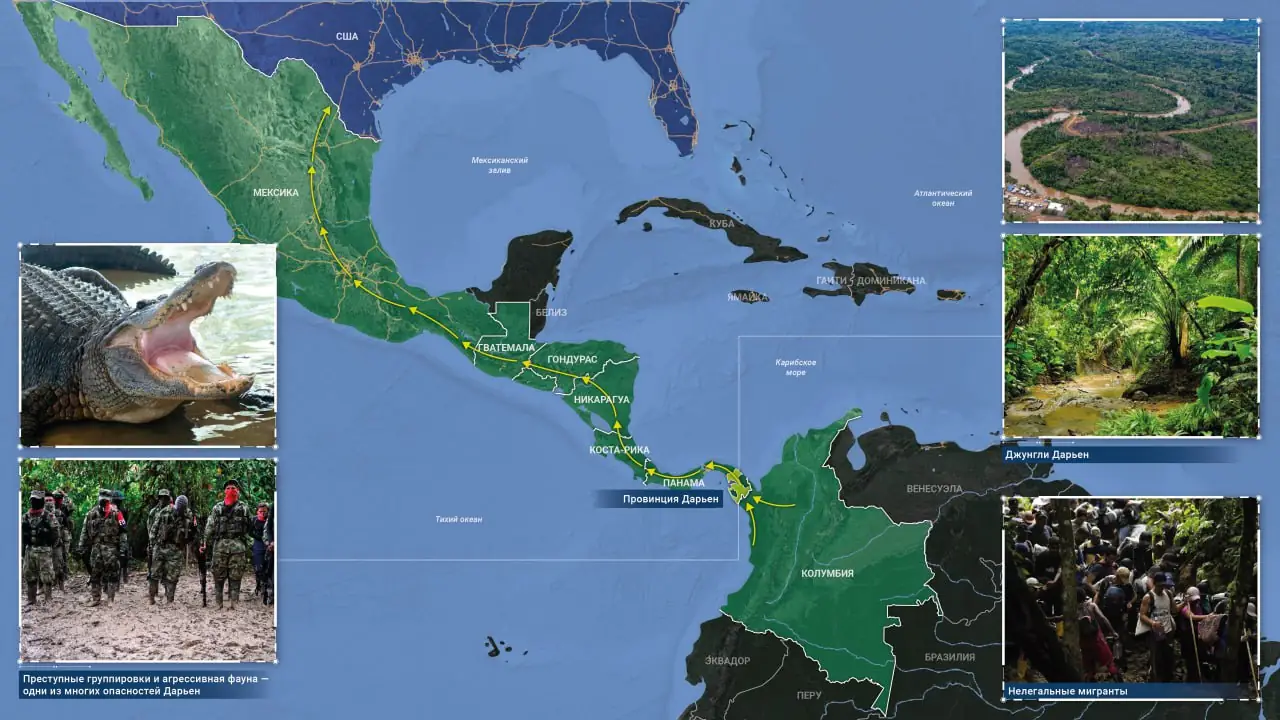 Рекордная миграция сквозь панамские джунгли