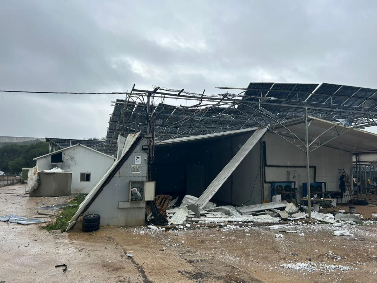 Что происходит в Палестине и Израиле: хроника за 22 декабря