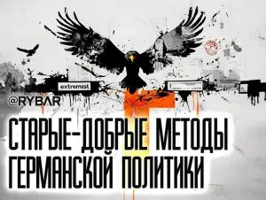 Демократия по-немецки: партию АдГ признали экстремистской