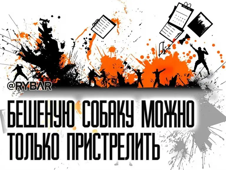 Зеленский отверг перемирие: ожидаемая реакция киевского режима