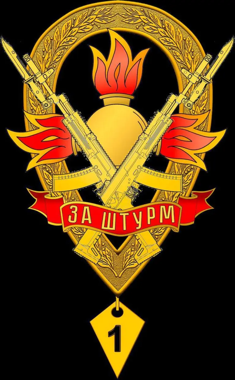 В Минобороны отметили штурмовиков