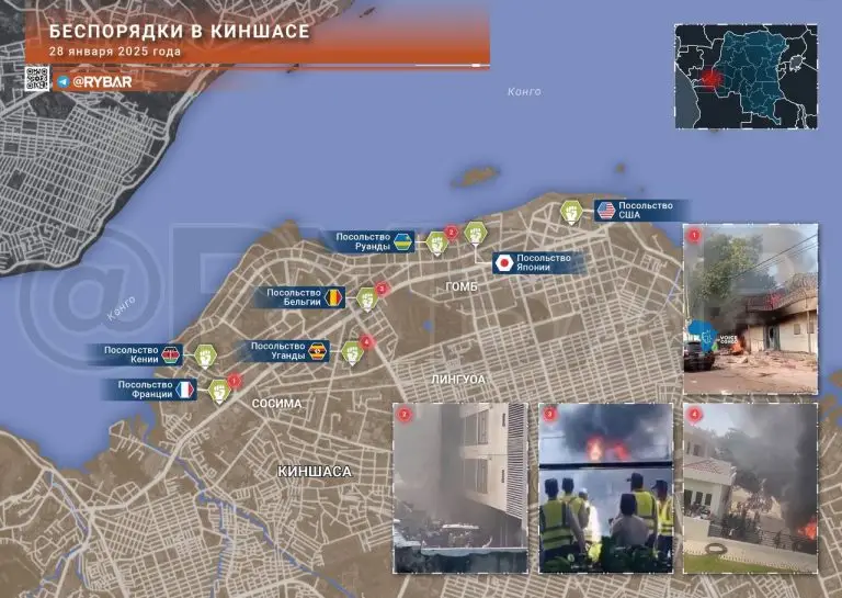 Беспорядки в ДРК: «лутинг» в естественной среде обитания