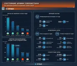 Суммы на триллионы сум: на что идет узбекский военный бюджет?