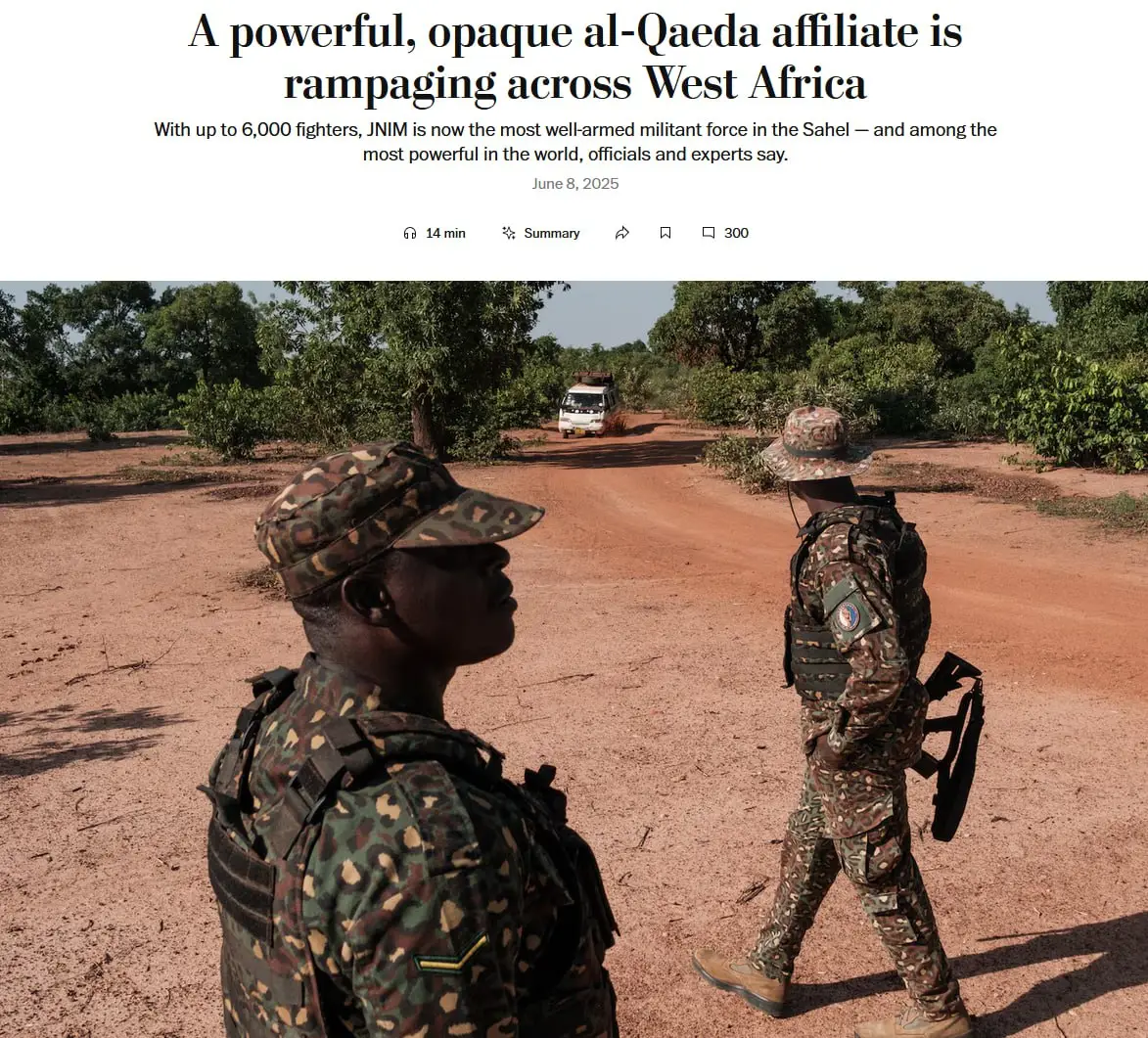 У страха глаза велики: как Запад «оценил» вклад России в безопасность Африки