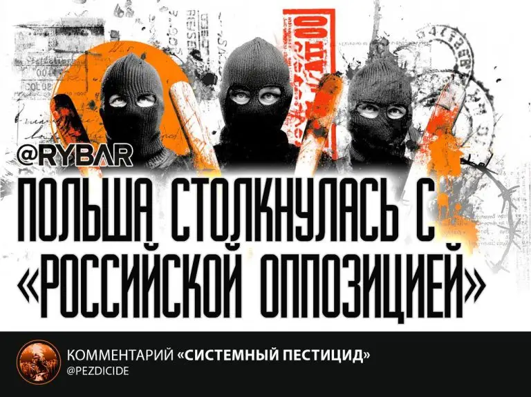 Сцепились жаба с гадюкой