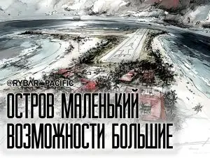Снова в строй