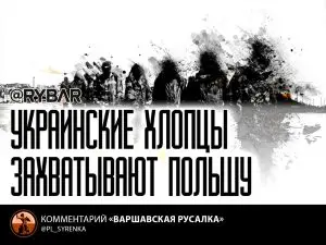 Молодые беглецы или диверсанты?