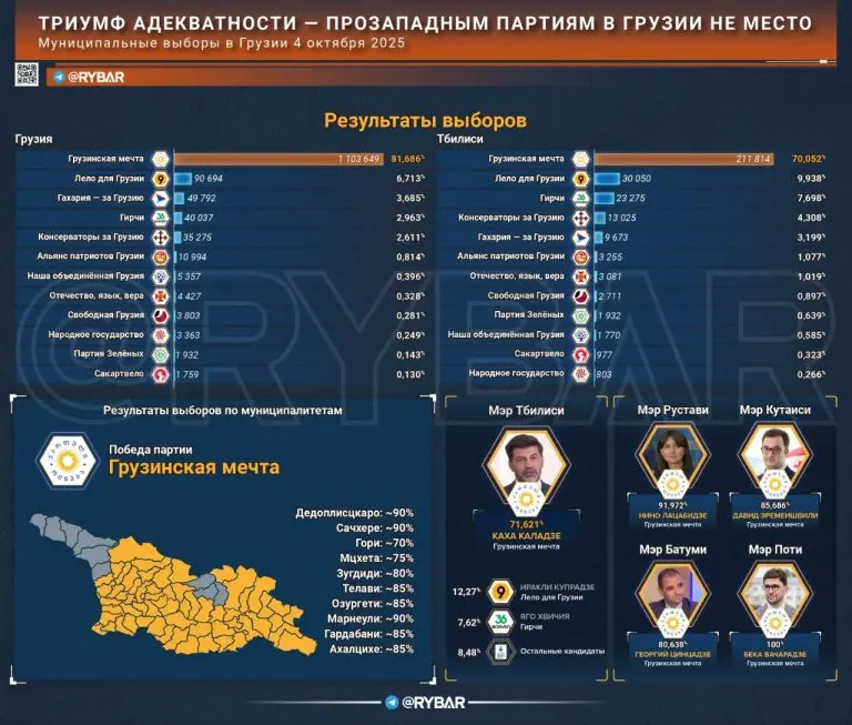 Итоги выборов в Грузии