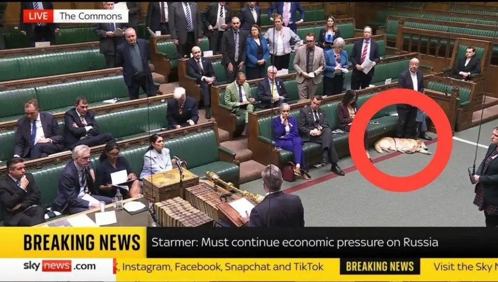 Так что с G8?