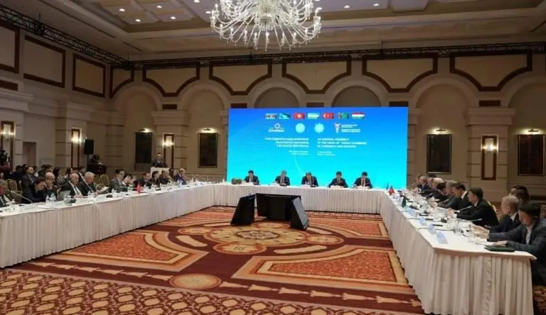 Тюркская интеграция