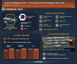 Тюркский рой
