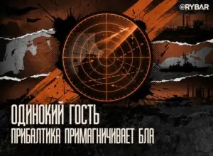 Магнит для дронов: падение беспилотника в Литве — закономерность?