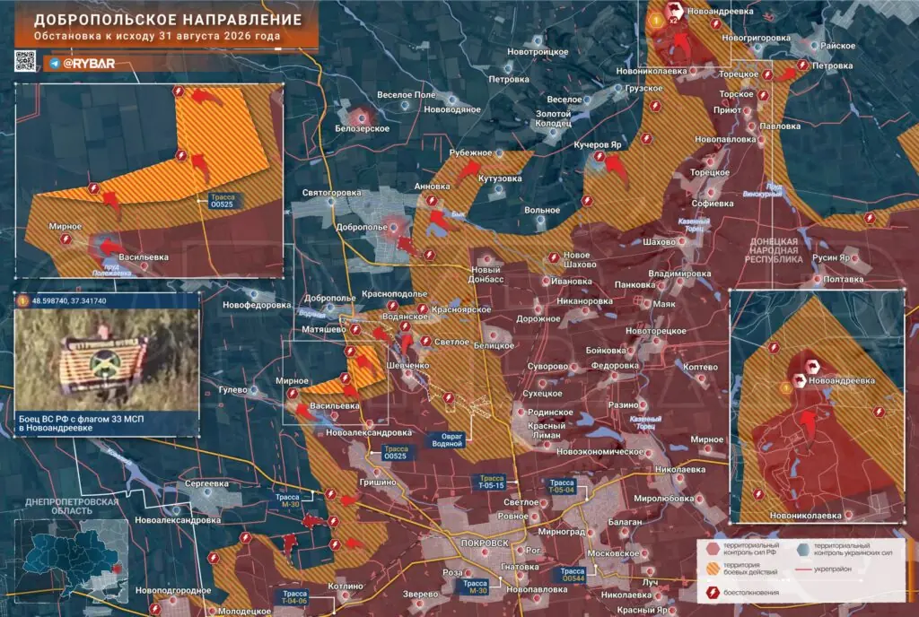 Хроника специальной военной операции за 31 августа 2026 года