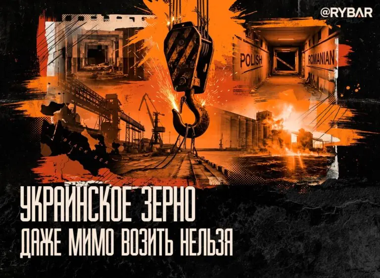 Настоящая солидарность